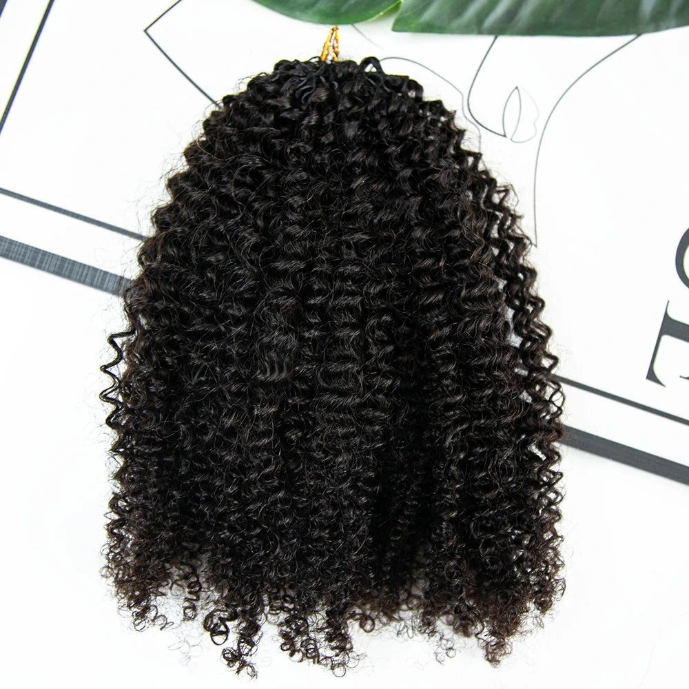 Afro Kinky Curly Human Crochet Hair 3 Afro Kinky Curly Human Crochet Hair