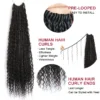 Wholesale - Crochet Box Braids With Human Hair Curls (Price For 1 Pack Of 40 Braids) -Hot Lingerie Hub Boho braids with human hair curls 4ac628e8 8a77 40d5 9131 c3bbb30c1f96