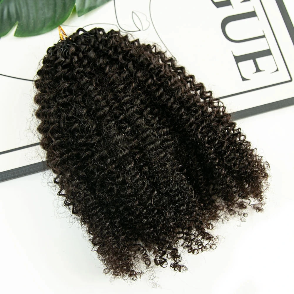 Afro Kinky Curly Human Crochet Hair 5 Afro Kinky Curly Human Crochet Hair - Image 3