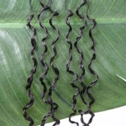 Human Crochet Hair Micro Yanky Twists 16 Human Crochet Hair Micro Yanky Twists -Hot Lingerie Hub Micro Twists Knotless Crochet Hair Extensions Human Hair Multi Textured