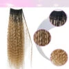 Ombre Honey Blonde Crochet Boho Box Braids With Human Hair Curls -Hot Lingerie Hub Ombre Honey Blonde Crochet Boho Box Braids with Human Hair Curls Ywigs 08d3cafe 27bf 42e1 8855 23a0ca144226
