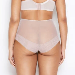 Abbie Vintage Rose Eyelash Lace High Waisted Knickers 7 Abbie Vintage Rose Eyelash Lace High Waisted Knickers -Hot Lingerie Hub abbie vintage rose high waist knickers back