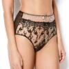 Abrielle Black Embroidered High Waist Knickers -Hot Lingerie Hub abrielle black embroidered high waist knickers