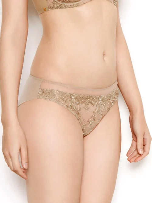 Abrielle Gold Embroidered Knickers