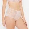 Ellianna Evening Sand Vintage Lace High Waist Knickers -Hot Lingerie Hub ellianna evening sand vintage lace high waist knickers