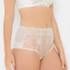 Grace Ivory And Gold High Waist Knickers -Hot Lingerie Hub grace ivory gold high waist knickers scaled