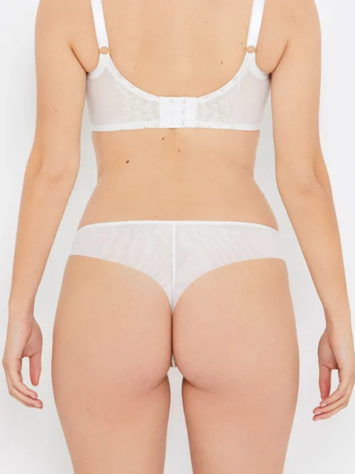 Grace Ivory And Gold Thong -Hot Lingerie Hub grace ivory gold thong back scaled