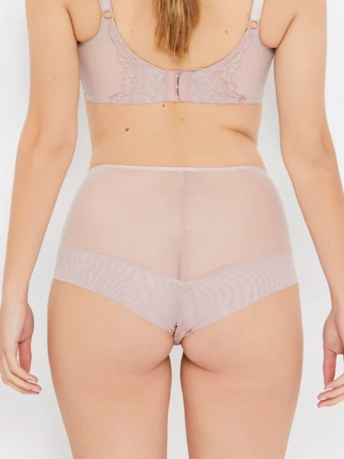 Grace Vintage Rose High Waist Knickers -Hot Lingerie Hub grace vintage rose high waist knickers back scaled