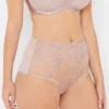 Grace Vintage Rose High Waist Knickers 2 Grace Vintage Rose High Waist Knickers -Hot Lingerie Hub grace vintage rose high waist knickers 1eba11dc ecc2 4491 87a1 19bc34aed168 scaled