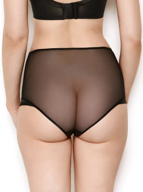 Nina Black Mesh High Waisted Knickers -Hot Lingerie Hub nina black mesh high waisted knickers back scaled