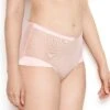 Nina Rose Pink Mesh High Waisted Knickers -Hot Lingerie Hub nina rose pink mesh high waisted knickers