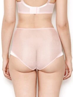 Nina Rose Pink Mesh High Waisted Knickers 7 Nina Rose Pink Mesh High Waisted Knickers -Hot Lingerie Hub nina rose pink mesh high waisted knickers back