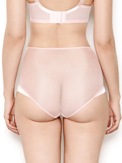 Nina Rose Pink Mesh High Waisted Knickers -Hot Lingerie Hub nina rose pink mesh high waisted knickers back scaled