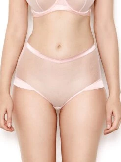Nina Rose Pink Mesh High Waisted Knickers 6 Nina Rose Pink Mesh High Waisted Knickers -Hot Lingerie Hub nina rose pink mesh high waisted knickers front