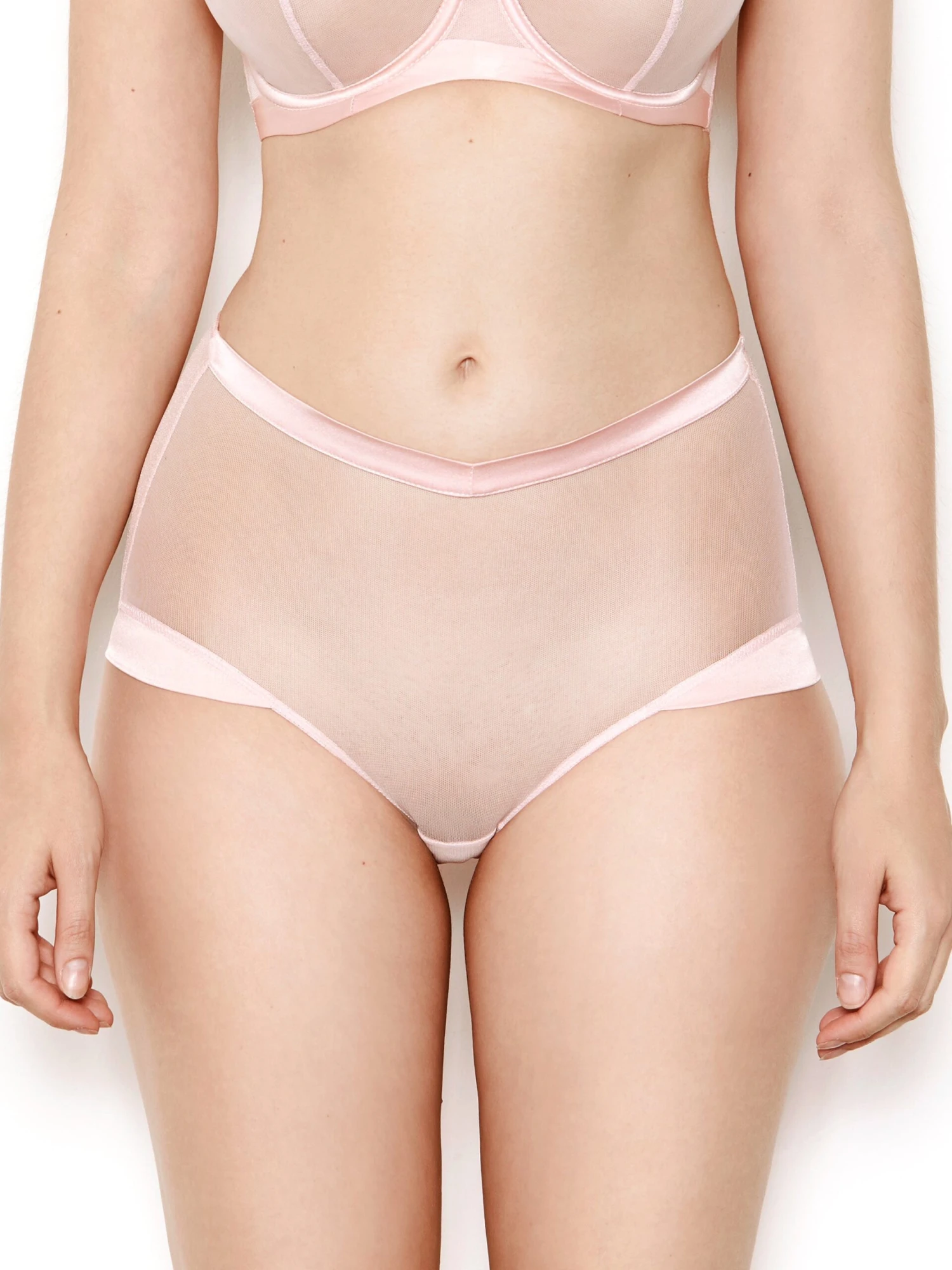 Nina Rose Pink Mesh High Waisted Knickers 4 Nina Rose Pink Mesh High Waisted Knickers - Image 2