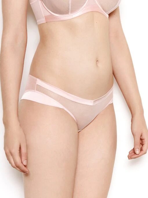 Nina Rose Pink Mesh Knickers