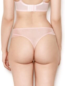 Nina Rose Pink Mesh Thong -Hot Lingerie Hub nina rose pink mesh thong back