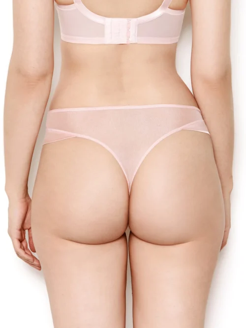Nina Rose Pink Mesh Thong -Hot Lingerie Hub nina rose pink mesh thong back scaled