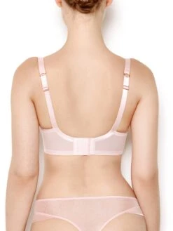 Nina Rose Pink Non Padded Mesh Bra With Silk Trims -Hot Lingerie Hub nina rose pink sheer mesh bra back