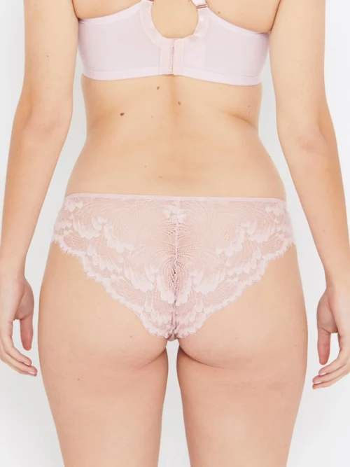 Olivia Rose Stretch Lace Mid-rise Knickers -Hot Lingerie Hub olivia rose stretch lace knickers back scaled