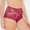 Simone Boysenberry Stretch Lace High Waist Knickers 2 Simone Boysenberry Stretch Lace High Waist Knickers -Hot Lingerie Hub simone boysenberry high waist knickers side