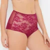 Simone Boysenberry Stretch Lace High Waist Knickers 1 Simone Boysenberry Stretch Lace High Waist Knickers -Hot Lingerie Hub simone boysenberry high waist knickers side scaled