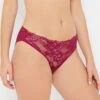 Simone Boysenberry Stretch Lace Knickers -Hot Lingerie Hub simone boysenberry knickers side