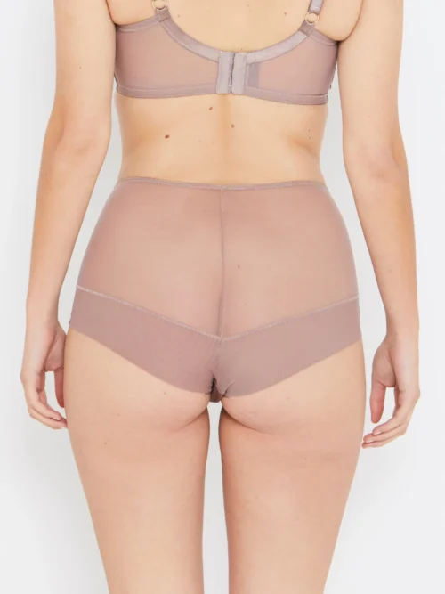 Sophia Café Lace High Waisted Knickers -Hot Lingerie Hub sophia cafe brown high knickers back view scaled