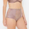 Sophia Café Lace High Waisted Knickers -Hot Lingerie Hub sophia cafe brown high knickers side view scaled