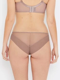 Sophia Café Lace Knickers 7 Sophia Café Lace Knickers -Hot Lingerie Hub sophia cafe brown knickers back view