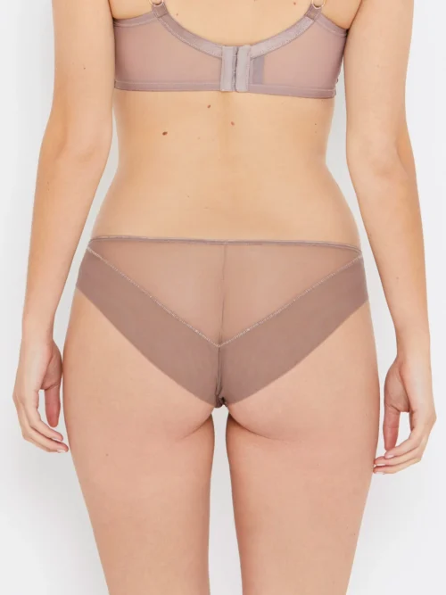 Sophia Café Lace Knickers 7 Sophia Café Lace Knickers -Hot Lingerie Hub sophia cafe brown knickers back view scaled
