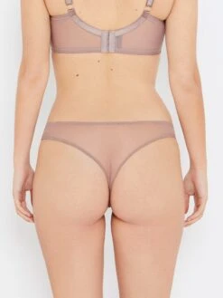 Sophia Café Lace Thong -Hot Lingerie Hub sophia cafe brown thong back view