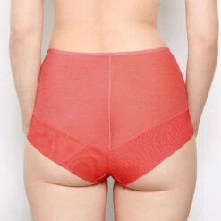 Sophia Red Lace High Waisted Knickers -Hot Lingerie Hub sophia red high waist knickers back